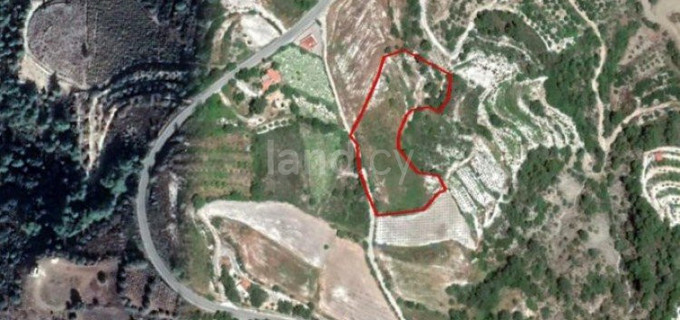 Agricultural field for sale in Paphos