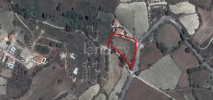 Residential field for sale in Paphos