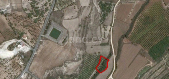 Agricultural field for sale in Paphos