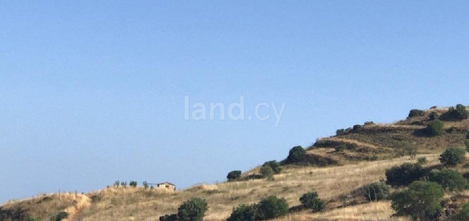 Αγροτικό αγροτεμάχιο προς πώληση - Πάφος