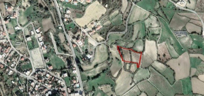 Residential field for sale in Paphos