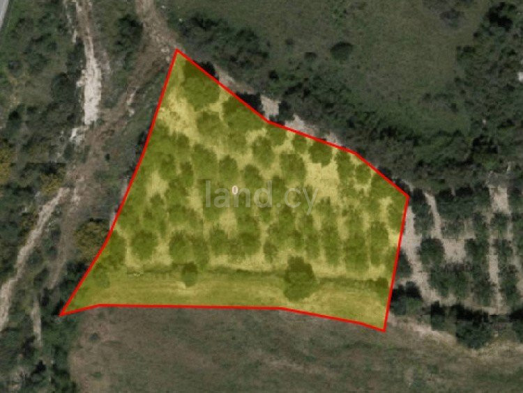 Industrial field for sale in Paphos