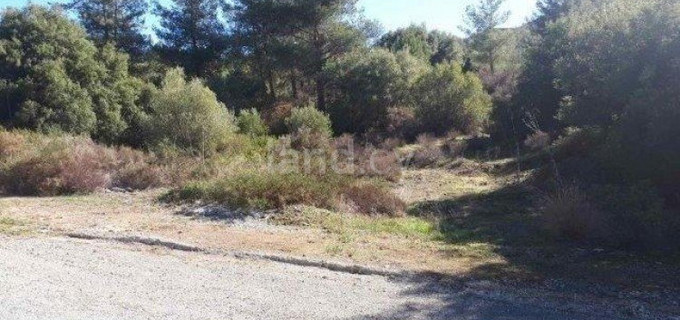 Agricultural field for sale in Limassol