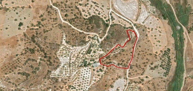 Agricultural field for sale in Paphos