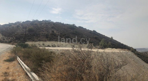 Agricultural field for sale in Limassol