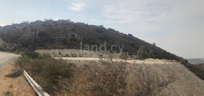 Agricultural field for sale in Limassol