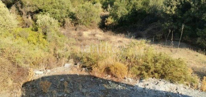 Agricultural field for sale in Limassol