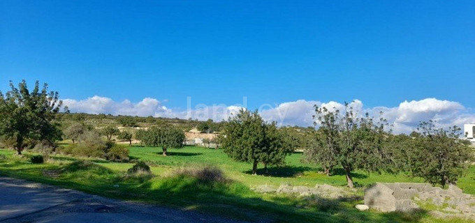 Residential field for sale in Limassol