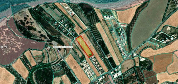 Touristic field for sale in Paphos