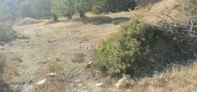 Agricultural field for sale in Limassol