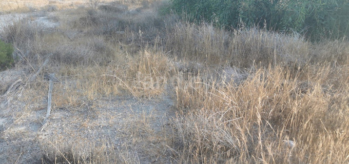 Agricultural field for sale in Limassol