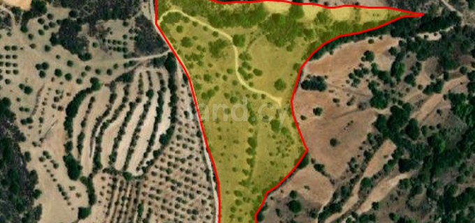 Agricultural field for sale in Paphos