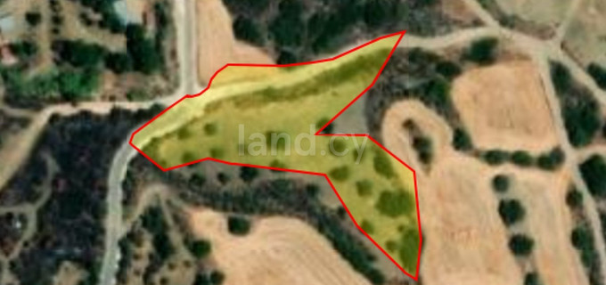 Agricultural field for sale in Paphos