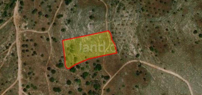 Residential field for sale in Paphos