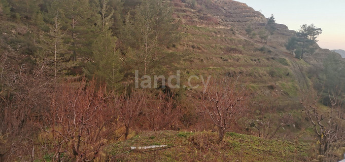 Field for sale in Limassol