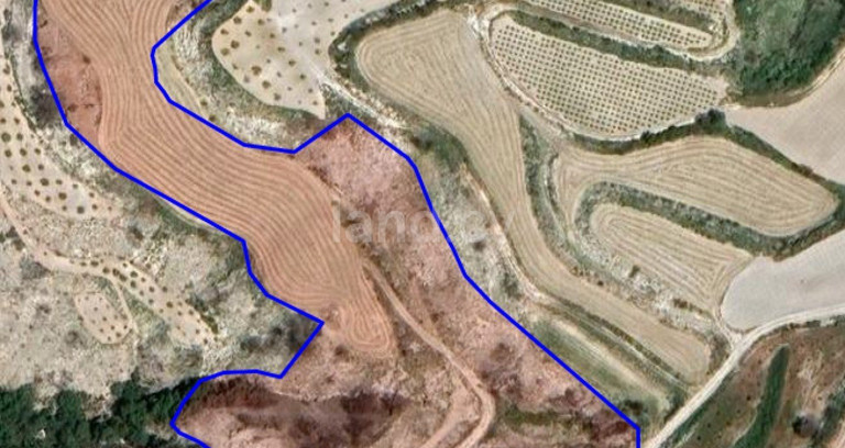 Terrain agricole à vendre à Paphos