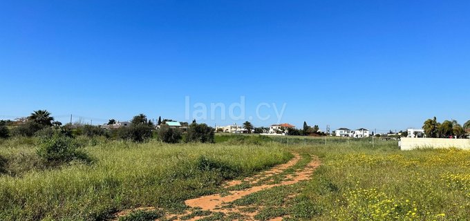 Residential field for sale in Frenaros