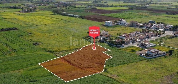 Residential field for sale in Liopetri