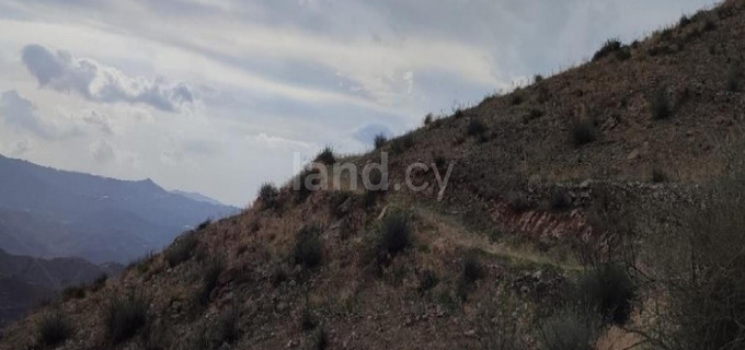 Agricultural field for sale in Larnaca