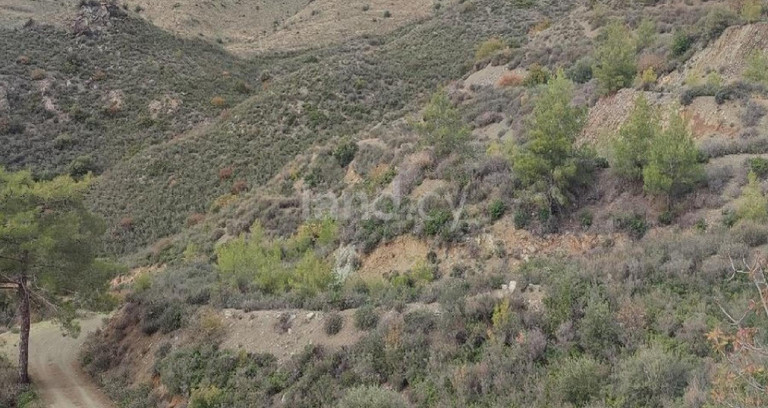 Landwirtschaftliches Baugebiet in Larnaca zu verkaufen