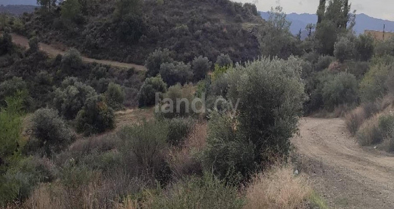 Terrain agricole à vendre à Larnaca