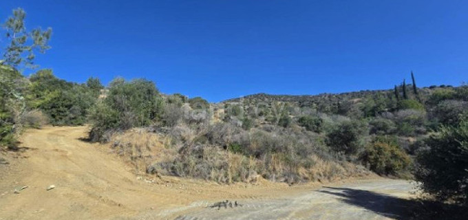 Agricultural field for sale in Larnaca