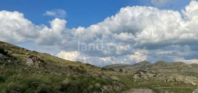 Landwirtschaftliches Baugebiet in Paphos zu verkaufen