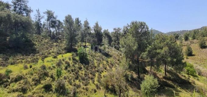 Residential field for sale in Nicosia