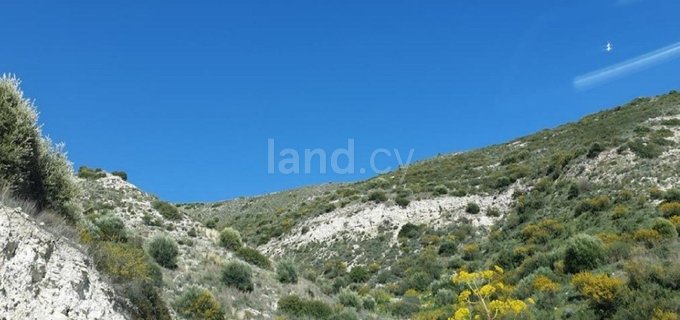 Jordbruksfält till salu i Larnaca