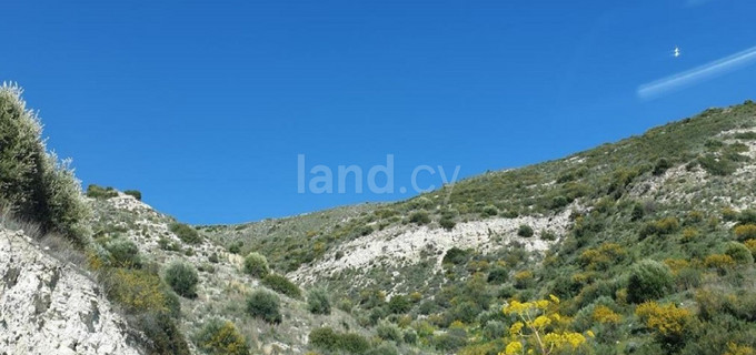 Landwirtschaftliches Baugebiet in Larnaca zu verkaufen