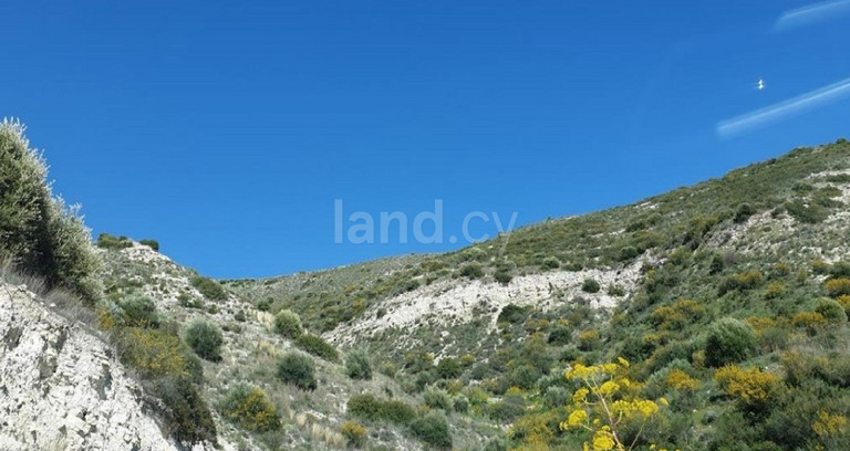 Agricultural field for sale in Larnaca