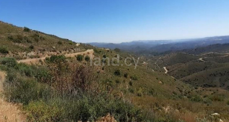 Agricultural field for sale in Larnaca