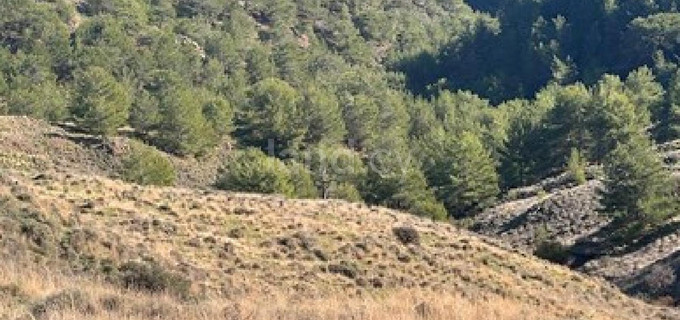 Campo agrícola a la venta en Nicosia