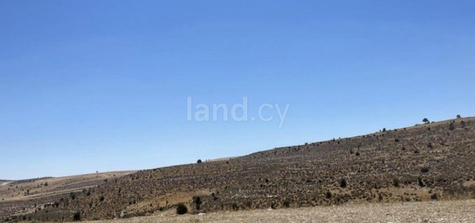 Terrain agricole à vendre à Nicosie