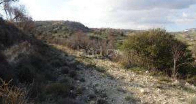 Campo agrícola a la venta en Paphos