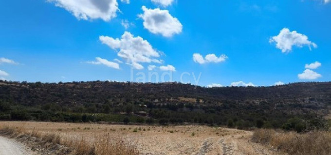 Agricultural field for sale in Paphos