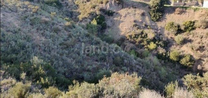 Agricultural field for sale in Limassol