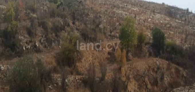 Terrain agricole à vendre à Paphos