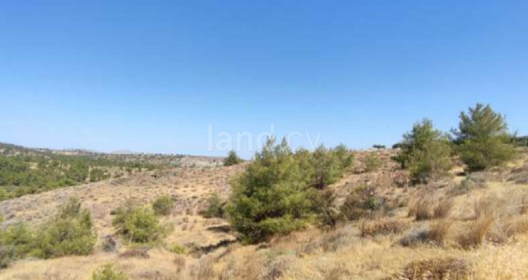 Campo agrícola a la venta en Nicosia