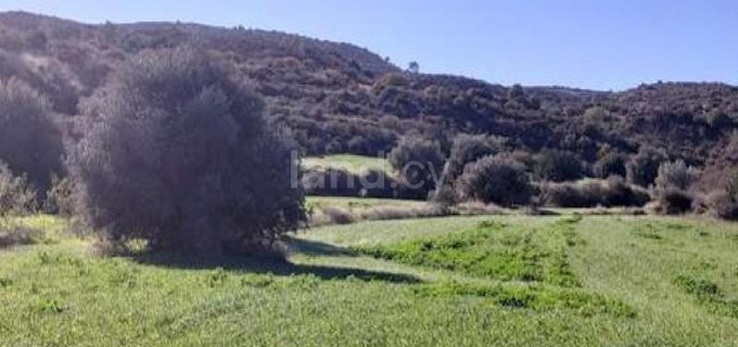 Campo agrícola a la venta en Larnaca
