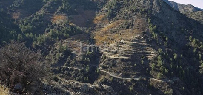 Agricultural field for sale in Nicosia