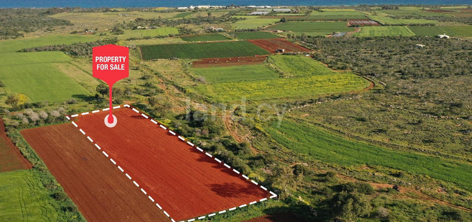 Campo turístico a la venta en Liopetri