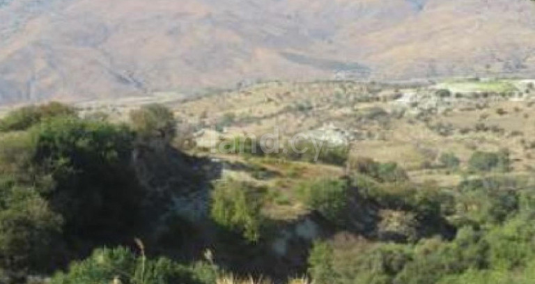 Terrain agricole à vendre à Paphos