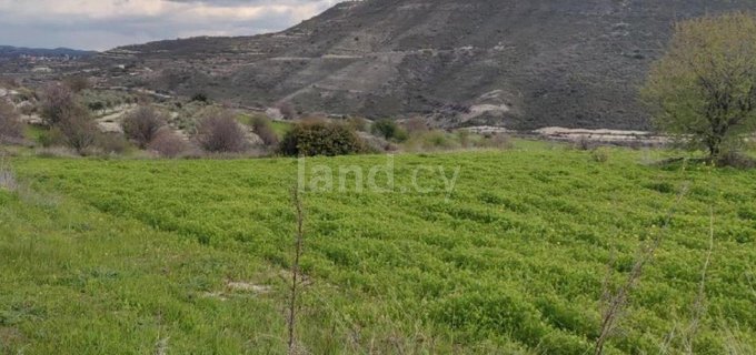 Agricultural field for sale in Limassol