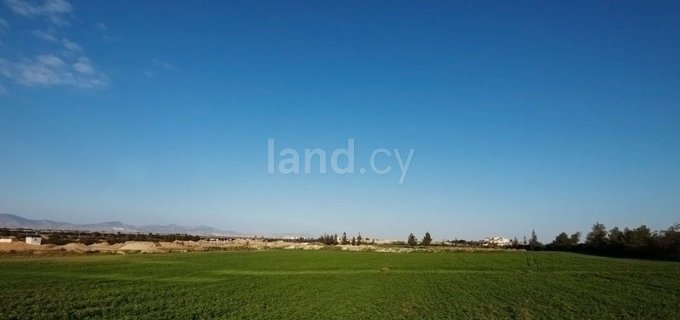Industrial field for sale in Nicosia