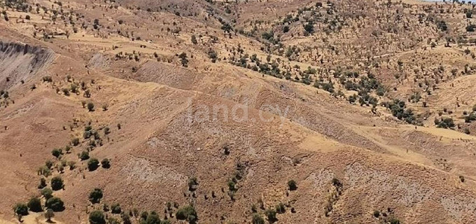 Landwirtschaftliches Baugebiet in Paphos zu verkaufen