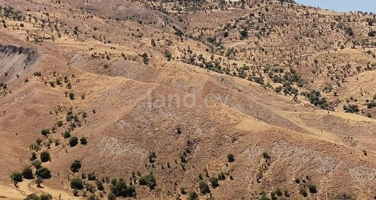 Αγροτικό αγροτεμάχιο προς πώληση - Πάφος