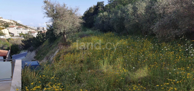 Residential field for sale in Limassol