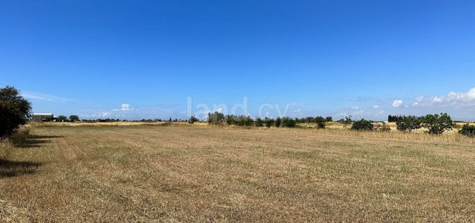 Agricultural field for sale in Avgorou