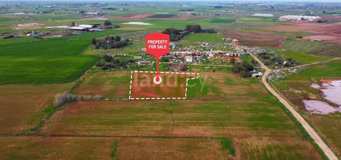 Agricultural field for sale in Liopetri